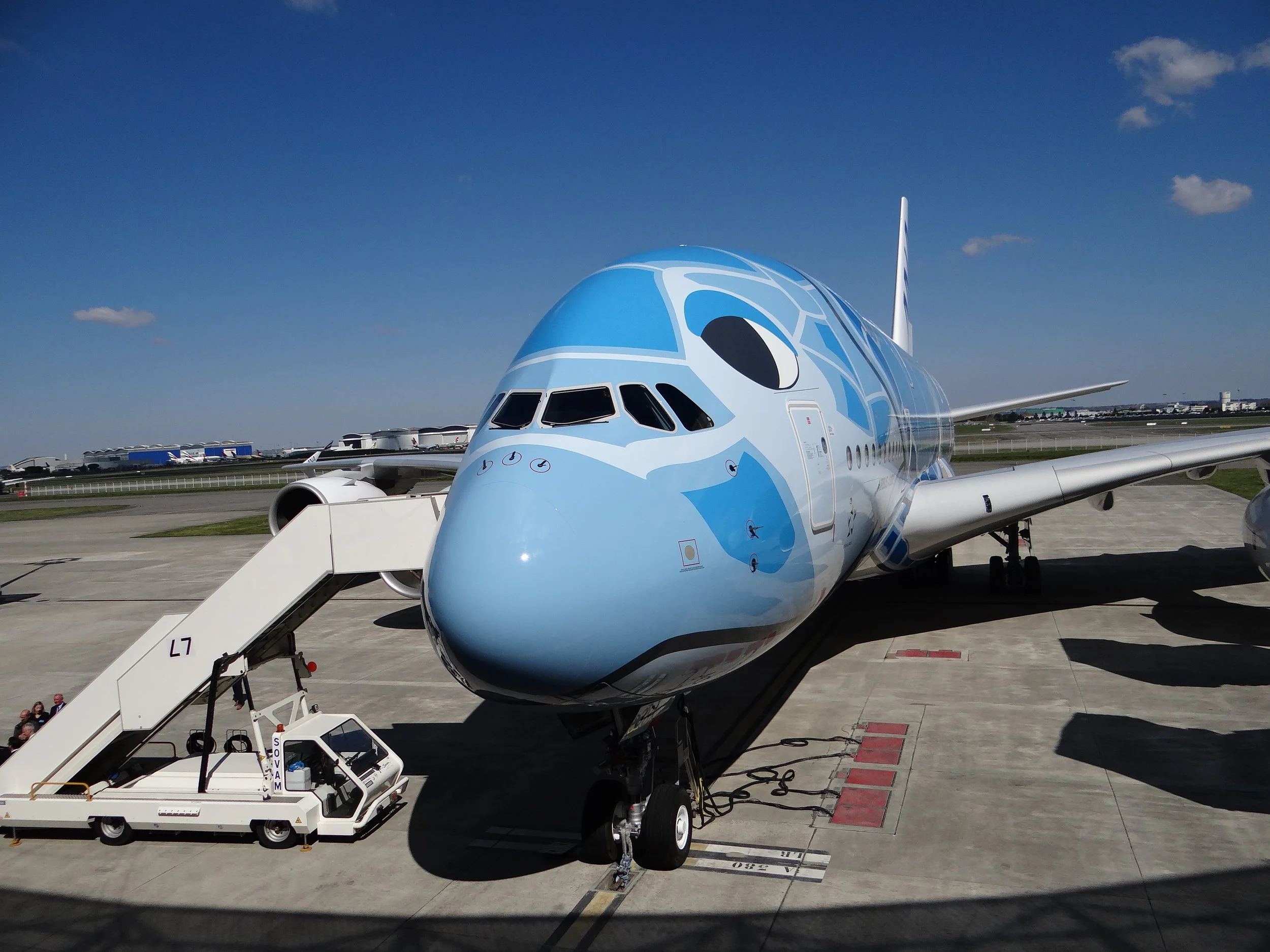 Welcoming Japan's first A380: ANA's Flying Honu — Allplane